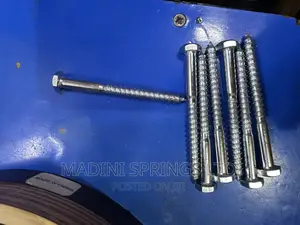Stainless Steel Toilet Pan Screw