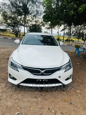 2017 Toyota Mark X: Luxurious Pearl Edition
