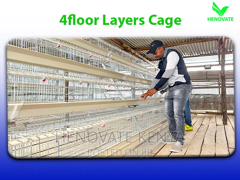 128 Birds Battery Cages