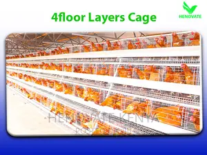 128 Birds Battery Cages