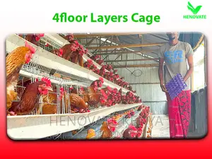 128-Chicken Capacity Layer Cages