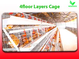 128-Chicken Capacity Layer Cages