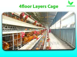 Chicken Cage 128 Bird Poultry/in Kenya Cheap to Handle