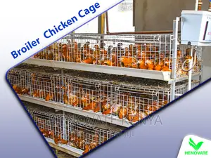 Right Broiler Chicken Cages for Your Poultry