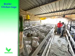 High-Grade Broiler Cages for Sale (In Kenya) Saves Space