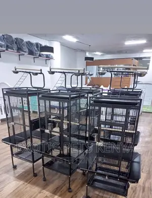 Imported African Grey Cages