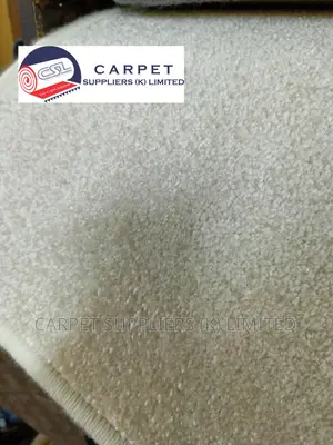 White Wall to Wall Carpet