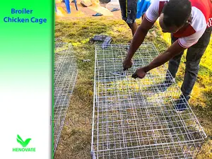 Fabricated Battery Cages for Broilers