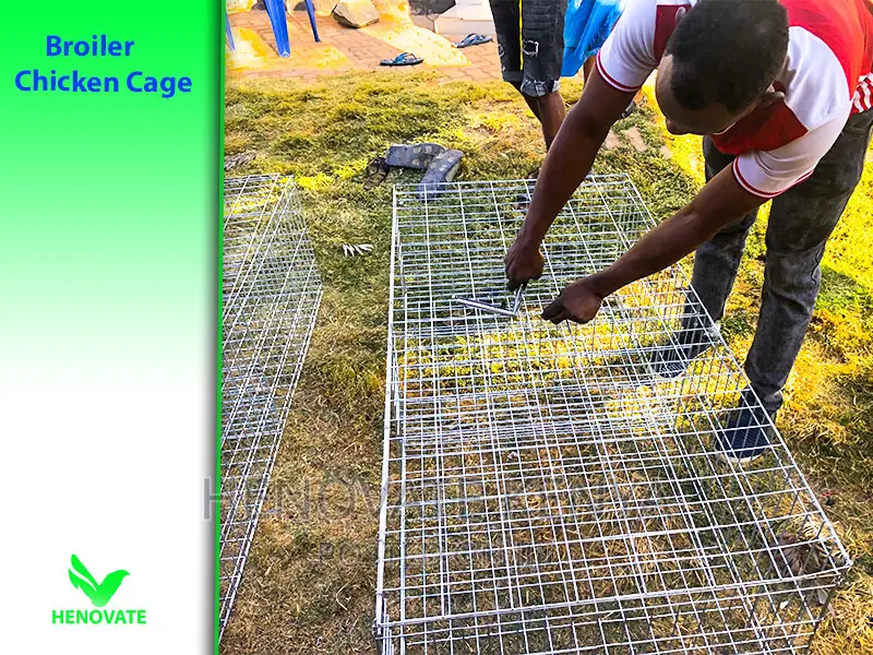 Fabricated Battery Cages for Broilers