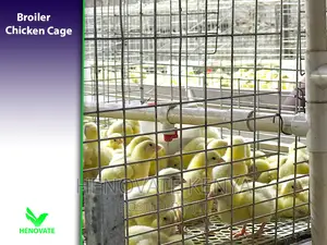 Sturdy Cages to Raise Broilers
