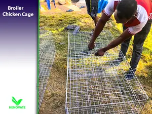 Sturdy Cages to Raise Broilers