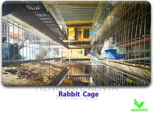 Modern Automated Rabbit Cages
