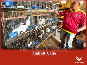The Best Selling Rabbit Cage