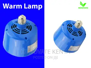 Baby Chicks Warm Lamp