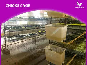 Best Chicks Cage in Kenya