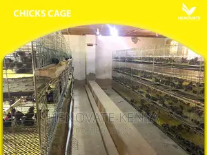 Baby Chick Cage System in Kenya