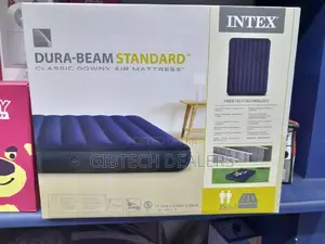 4 by 6 Intex Inflatable Mattress+Electric/Manual Pump