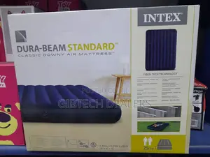 4 by 6 Intex Inflatable Mattress Plus Electric Pump
