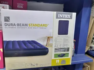 4*6 Intex Inflatable Mattress+Manual/Electric Pump