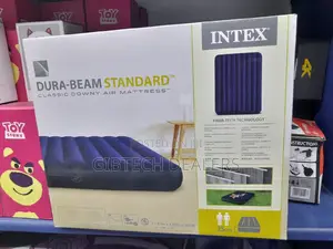 Intex Inflatable Mattress 4 by 6 Plus Manual/Electric Pump