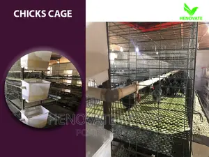 Chicks Cage For 1 Day