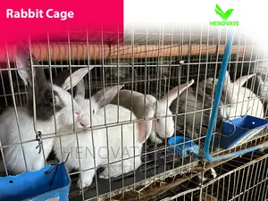 Best Indoor Rabbit Cages of 2024 (Available)
