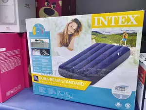 5 by 6 Intex Inflatable Mattress