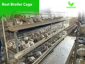 Automatic Broiler Cage