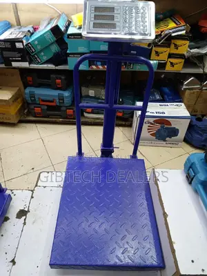 300kg Platform Weighing Scale