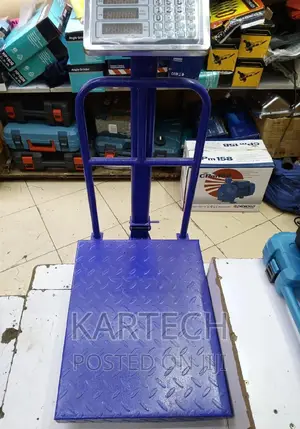 300 Kg Heavy Duty Weighing Scale