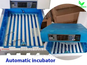 Automatic Egg Incubator