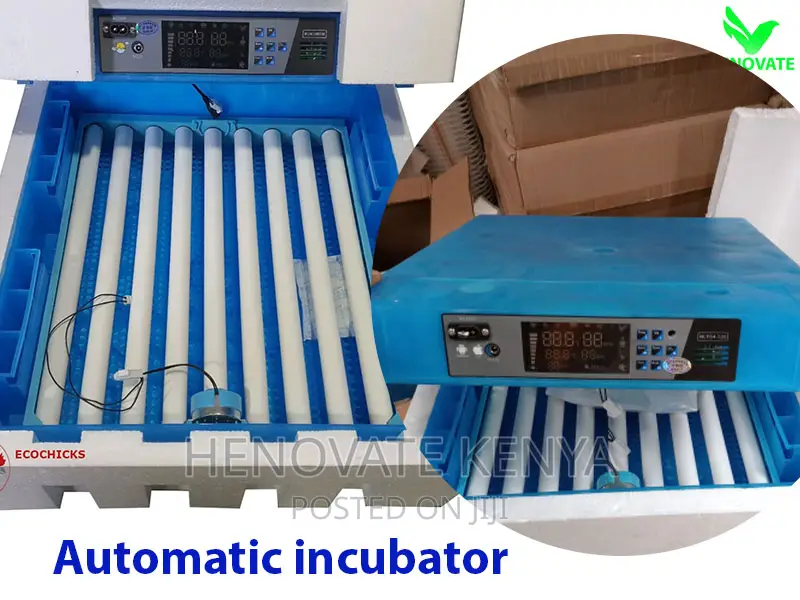Automatic Egg Incubator