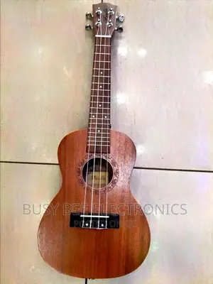 Ukulele Concert