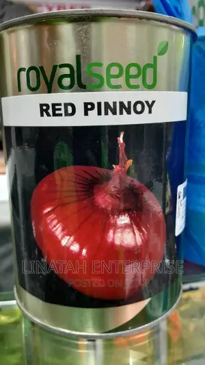 Red Pinnoy Hybrid Onion 250gms