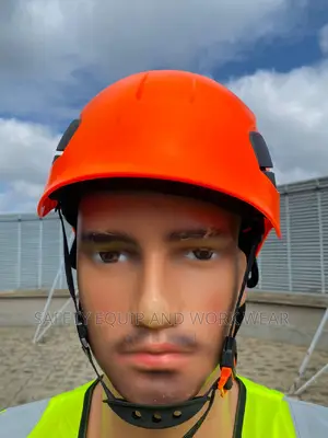 Top Quality Work At Height Helmet