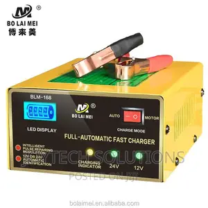 Original Hot  Selling BLM Battery Charger 12-24v