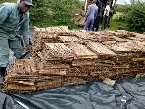 Makuti Suppliers Mombasa