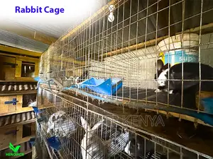 Rabbit Cages For Sale In Kenya/Simple And Easy...