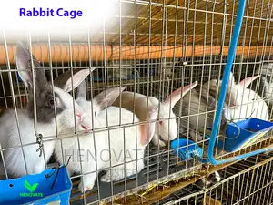 Rabbit Cages For Sale In Kenya/Simple And Easy...