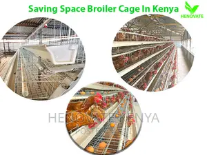 Buy 128 Birds Layer Cages