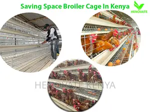Buy 128 Birds Layer Cages