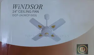 Window Ceiling Fan 24"