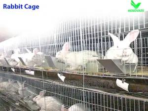 Smart Rabbit Cages in Kenya