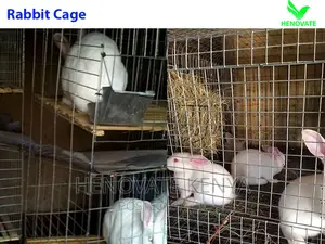 Rabbit Cage Standard Trolley in Kenya