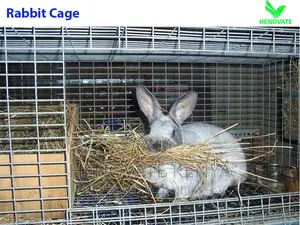 Rabbit Cage Standard Trolley in Kenya