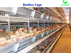 New Broiler Cage For Sale-in Kenya(Saves Space)