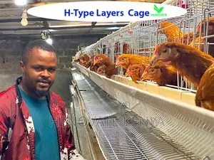 H Type Battery Layer Chicken Cage/Saves Space(Kenya)