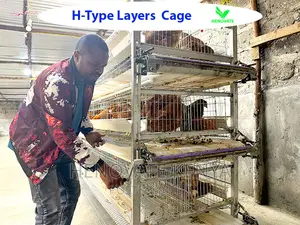 Reliable Durable H-type Layer Cage/Ruiru