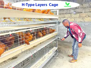 Top-Notch H Type Chicken Layer Cage in Kenya(Try This Today