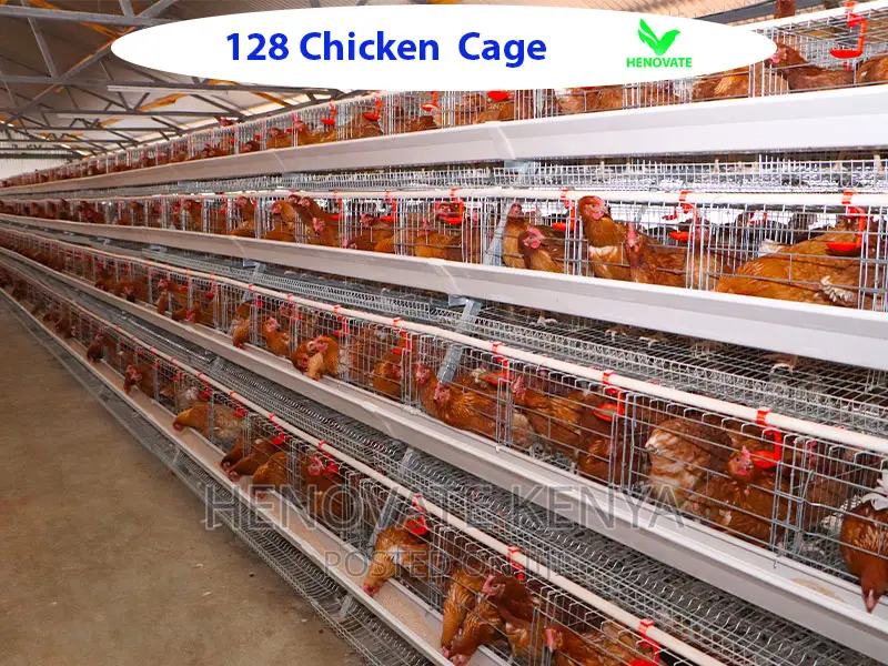 128 Birds Layers Cage/4floor Cage